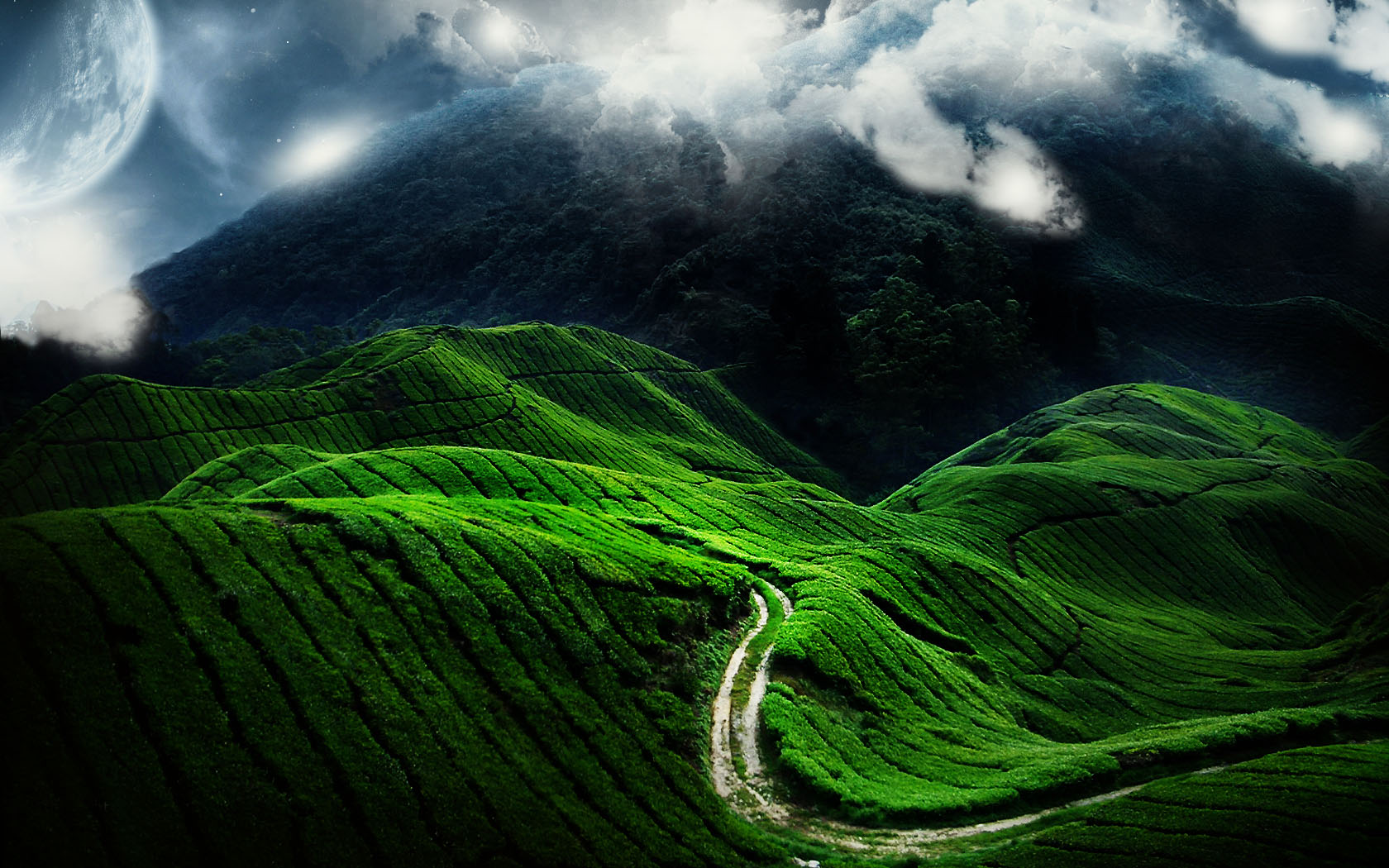 velvety-green