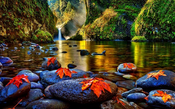 The Beauty Of Nature Wide Desktop Background