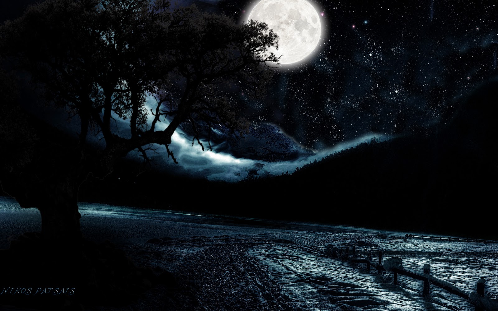 full-moon-image-with-trees-background-pictures-1920x1200