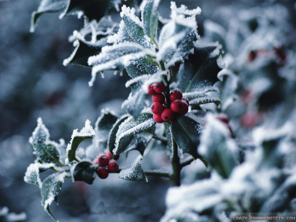 Winter-Wallpaper-5C0